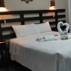 Suite con Cama Queen de Alta Gama